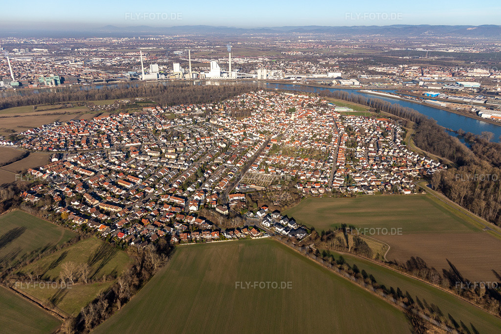 Luftbild: Ortsansicht der Straßen und Häuser der Wohngebiete in Altrip im Bundesland Rheinland-Pfalz in Deutschland. Foto: IMG_125476.jpg vom 21.02.2021 durch Werner Riehm/FLY-FOTO.de