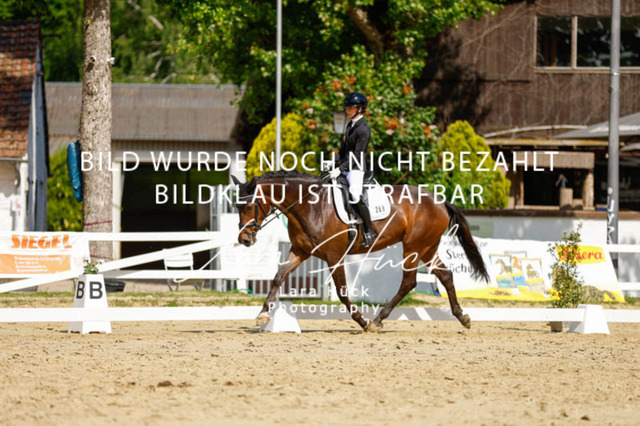 _62_2833 | larahueckfotografie