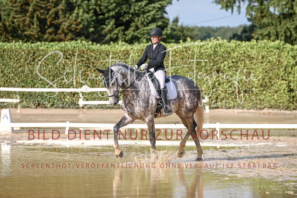 Schugtsche-Aluta25-54.Dressurprf.L1Trense-205 | Schugtsche Fotografie - Realisiert mit Pictrs.com