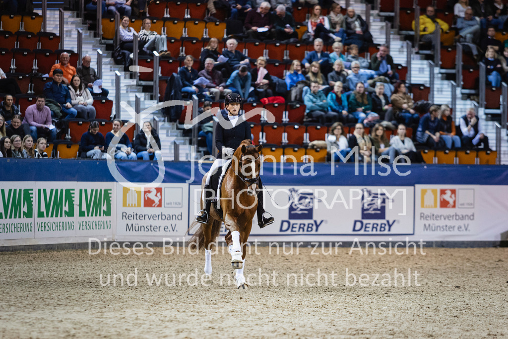 250108_Muenster_Hengstpräsentation-147 | Deine schönsten Turniermomente als professionelle Fotos! Entdecke hochwertige Pferdesport-Fotografie im Online-Shop. Jetzt Fotos finden & bestellen!