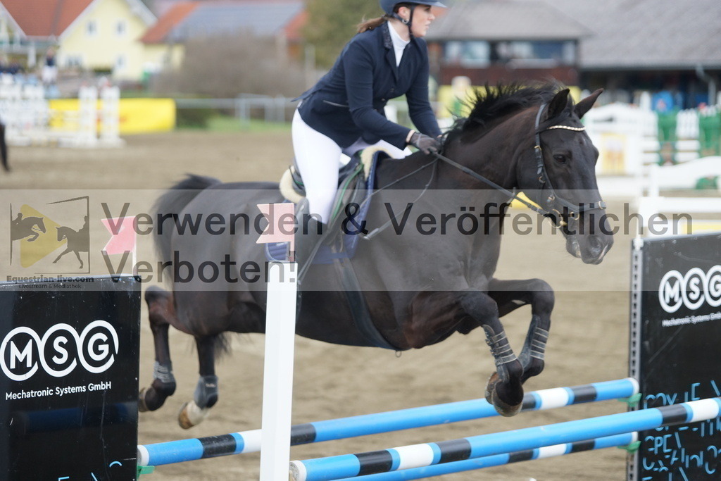 DSC01100 | equestrian-live-com