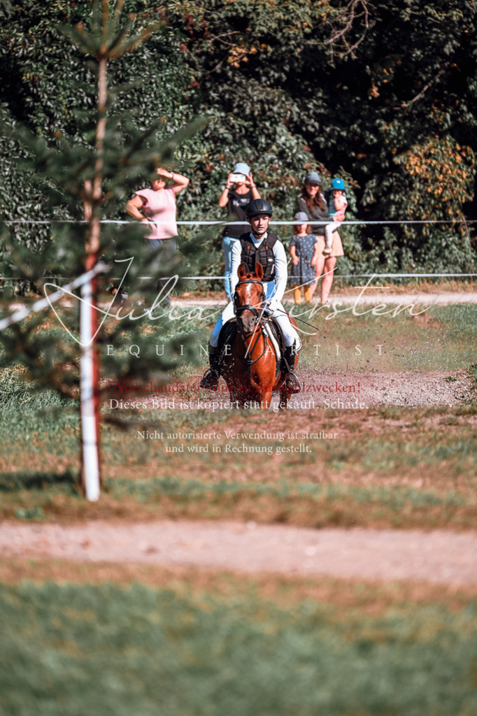 DSC_0885 | Pferde- und Turnierfotografie in Westsachsen. Pferdeportraits, Auftragszeichnungen und intuitive Kunst.