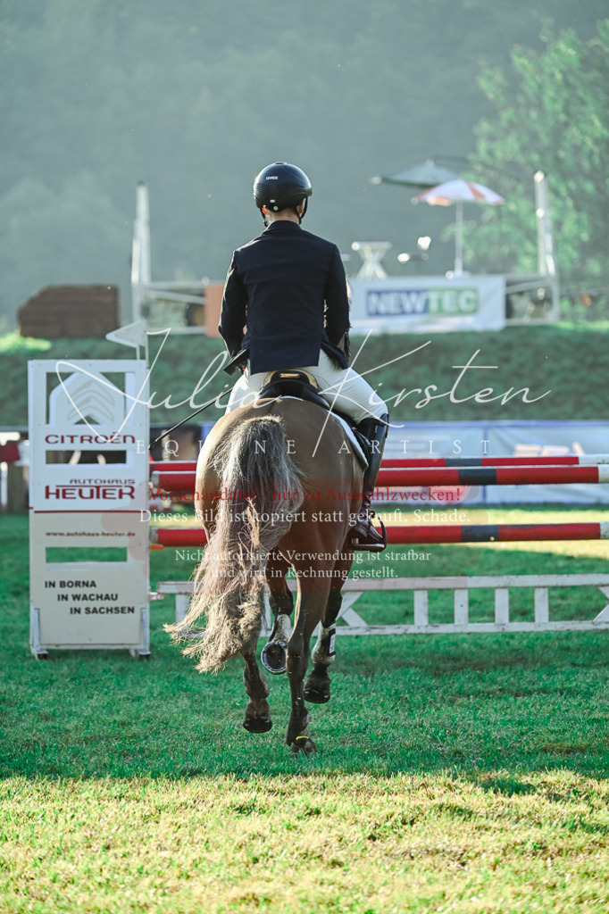 DSC_4115 | Pferde- und Turnierfotografie in Westsachsen. Pferdeportraits, Auftragszeichnungen und intuitive Kunst.