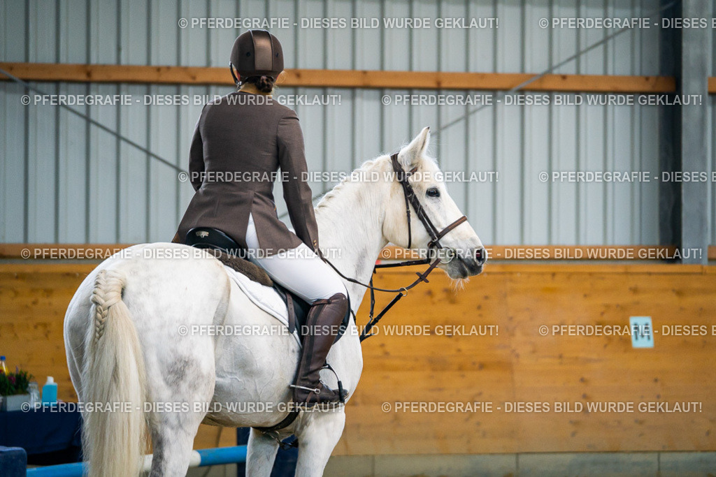 DSC00692 | Pferdegrafie