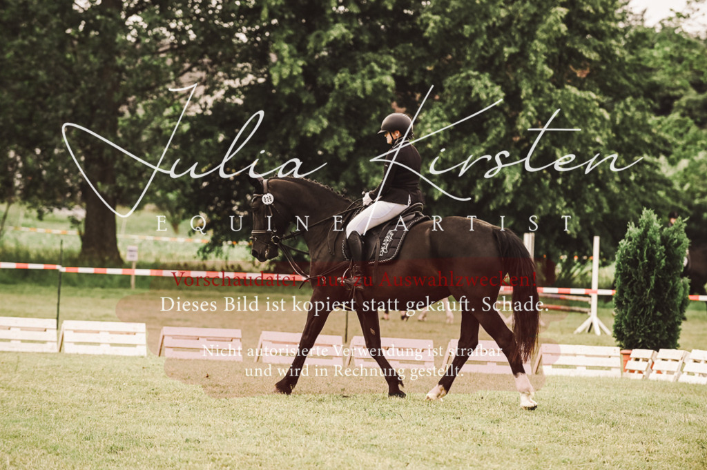 DSC_4915 | Pferde- und Turnierfotografie in Westsachsen. Pferdeportraits, Auftragszeichnungen und intuitive Kunst.