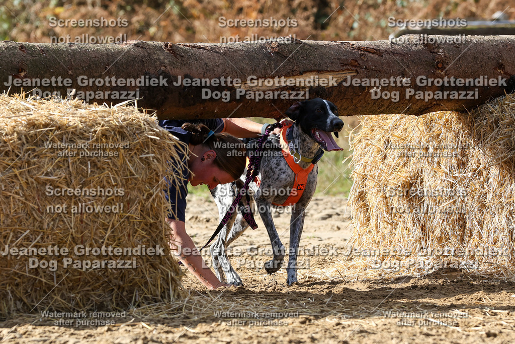 Dog Paparazzi - Strongdog 10-25-5212 | Dog Paparazzi Jeanette Grottendiek Fotografie & Videografie - Realisiert mit Pictrs.com