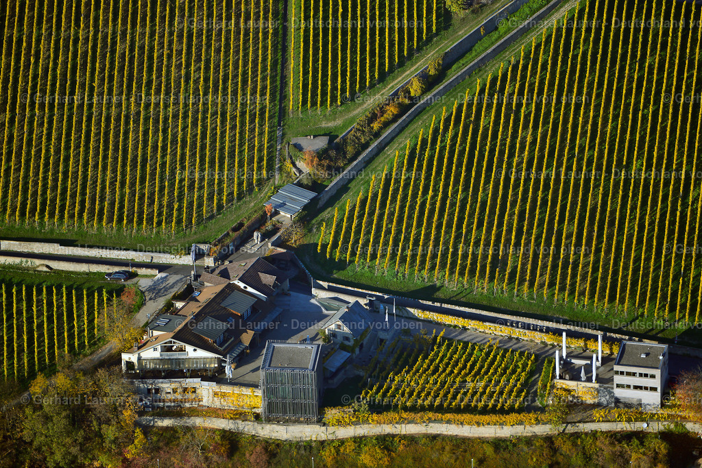 3503747 | Weingut Knoll, Wuerzburg