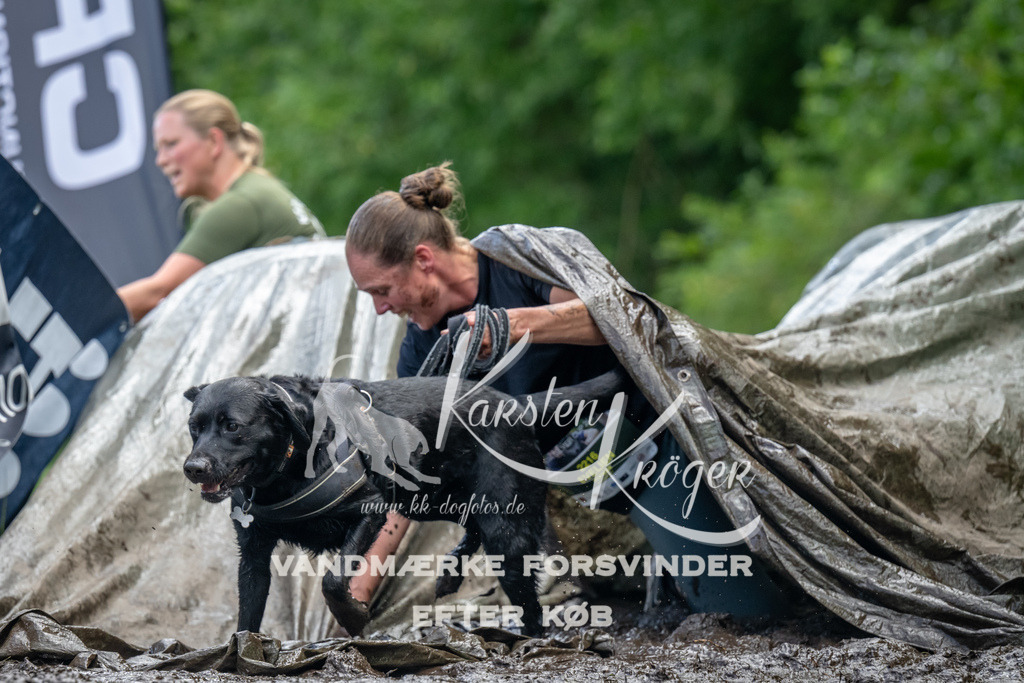 1144_ZZ94108 | kk-dogfotos