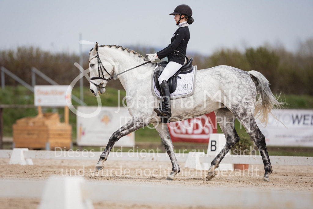 230410_Frühlingsfest_A-Dressur-425 | Deine schönsten Turniermomente als professionelle Fotos! Entdecke hochwertige Pferdesport-Fotografie im Online-Shop. Jetzt Fotos finden & bestellen!