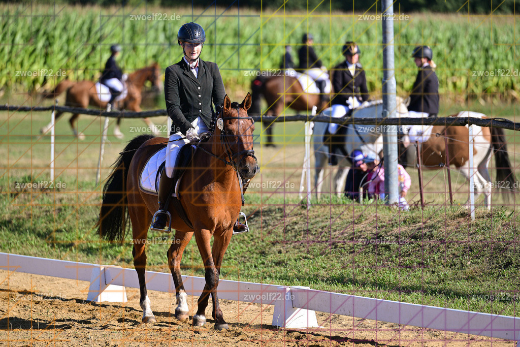30 Jahre RFV Pulsnitz e.V., Pulsnitz am 09.08.2026 | Zur 28. breitensportlichen Veranstaltung des RFV Pulsnitz e.V. fanden verschiedene Wettbewerbe in nahezu allen Disziplinen des Pferdesport statt. - 04 Großer Dressur-Wettbewerb - Realisiert mit Pictrs.com