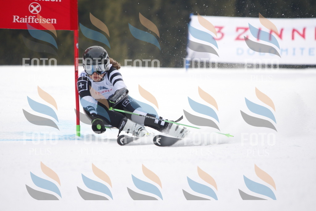 D4781 | holidayphoto