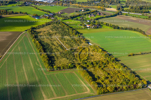 Hamm241008389 | Luftbild, Waldgebiet und Baumallee in ovale Form, ehemalige Zeche Westfalen Schacht 7, Ennigerberg, Formen und Farben, Stadtbezirk Heessen, Hamm, Ruhrgebiet, Nordrhein-Westfalen, Deutschland