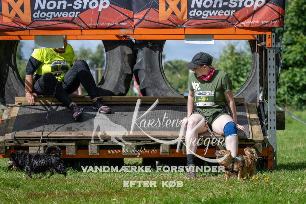 1539_ZZ93600 | kk-dogfotos