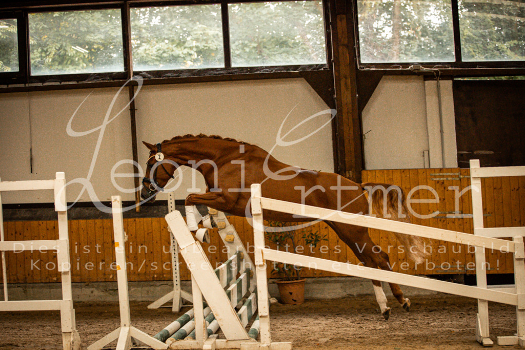 1FS_L00032 | Leoni Ertmer Photography - Realisiert mit Pictrs.com