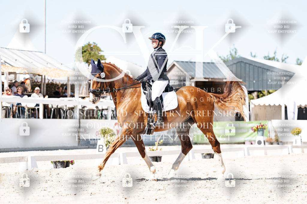 CK900006 | Turnierfotografie Pferdefotografie Trier Rheinland-Pfalz Pferdesport Reitsport Tierfotografie Sportfotografie Pferdevideo Pferdevideografie Equestrianvideography equestrianphotography  - Realisiert mit Pictrs.com