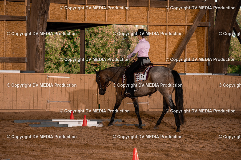 NE101348 | dv-media-shop - Realisiert mit Pictrs.com