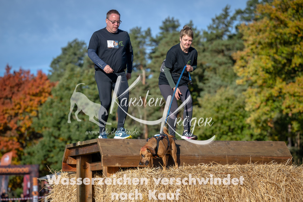 0955_ZZ91605 | kk-dogfotos