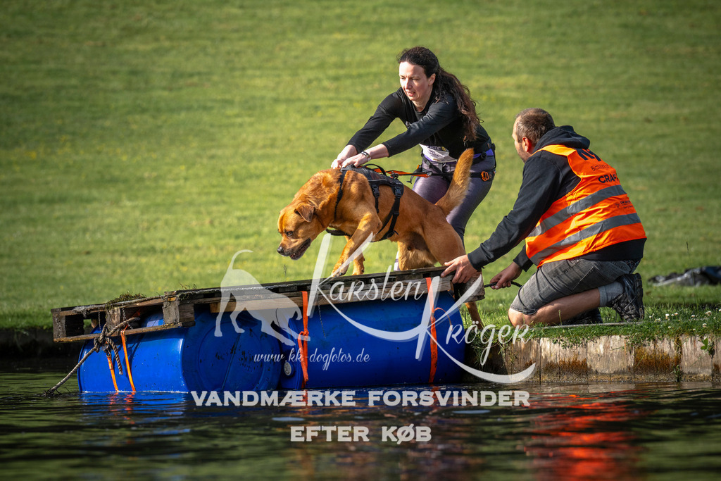 _ZZ942670714 | kk-dogfotos