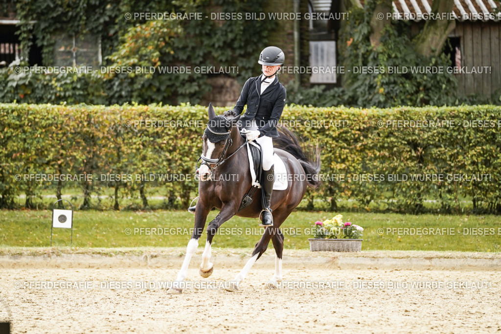 DSC00247 | Pferdegrafie