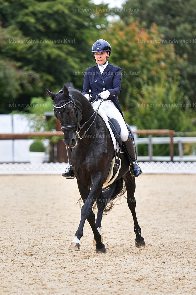11-194-Dressur S___-Marixx-1498 | working equitationturnier fotograf videograf stoibphotography marixx film working equitation deutschland reitsport turnierfotografie eventfotografie equestrian events