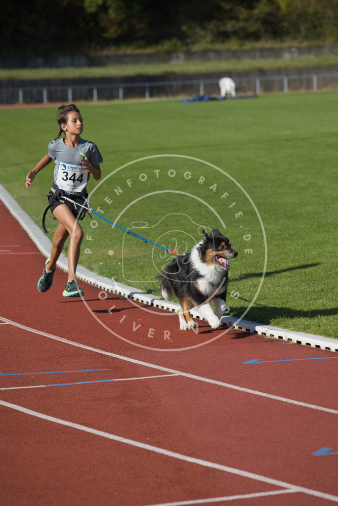 0L8A9091 | Hundefotografie, Tierfotograf, Pfotenfotografie, Fotoshooting Hund, Hunde Portrait, Hundesport, Hundeportraits, Heideshooting, Hunde, Sportfotograf, Hundefotograf, Turnierhundsport, THS,  - Realisiert mit Pictrs.com