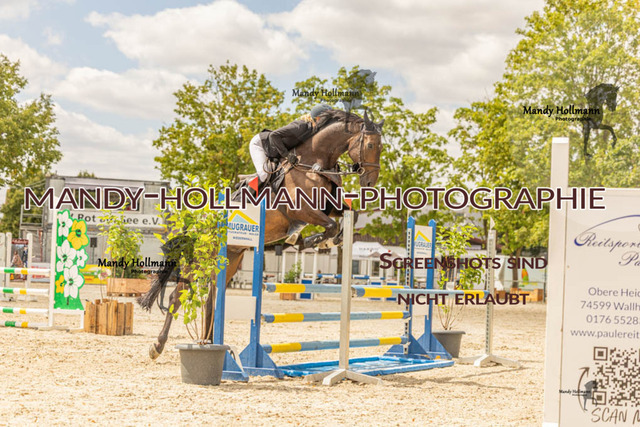 26-7-23 SPR A++-196 | mandyhollmannphotographie