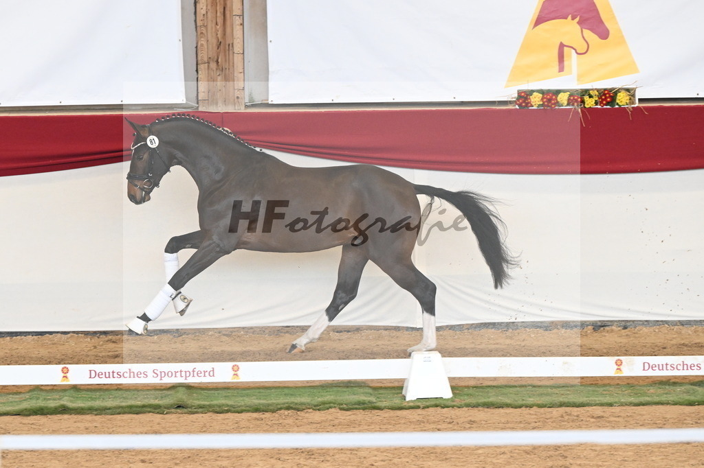 Kat.-Nr. 81 v. Va Bene_Greim_3261143 | hf-fotografie - Realizzato con Pictrs.com