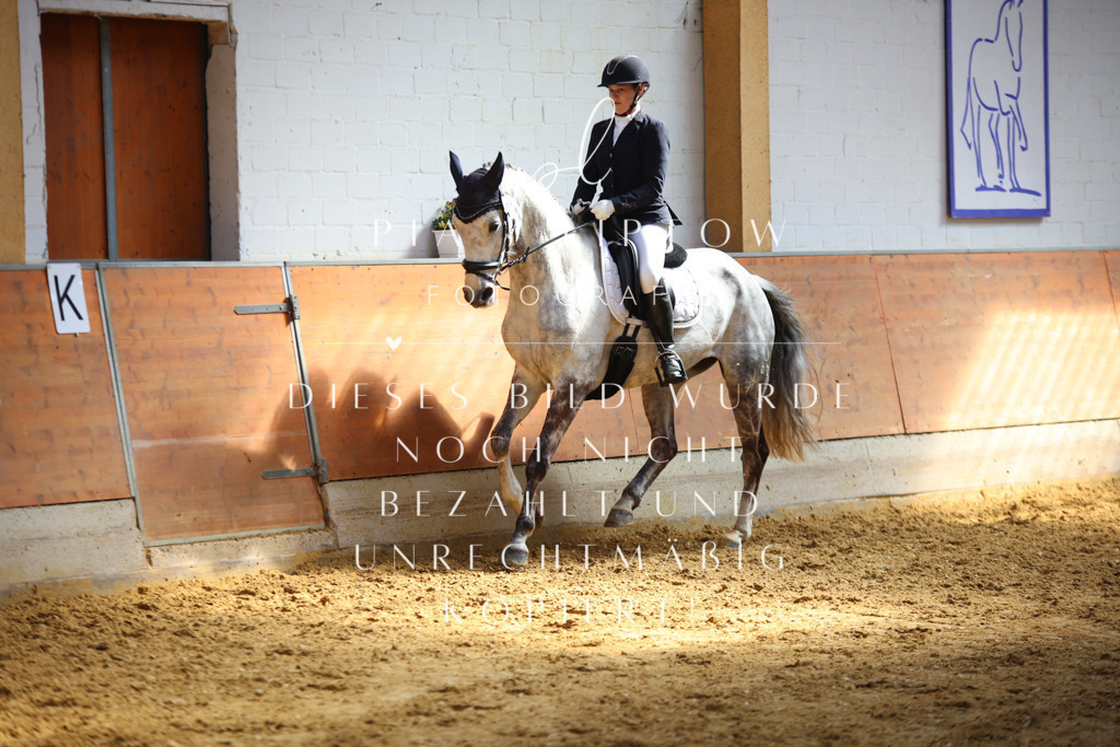 IMGT7160 | pl-fotografie