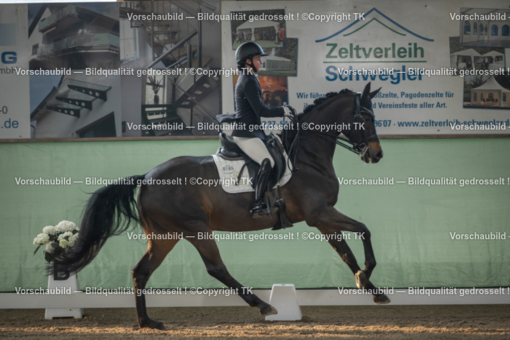 _D5A4102 | Emotionale Pferde- & People-Fotografie rund um Heidelberg, Leimen & Umgebung. Natürliche Fotos von Pferd, Mensch & Familie. Jetzt Termin sichern!