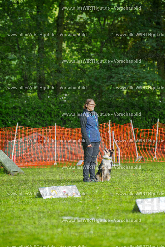 @allesWIRTHgut_Tierfotografie - www.allesWIRTHgut.de - 7R502285 | Professionelle Tierfotografie in Mönchengladbach von Daniel Wirth (allesWIRTHgut). Liebevolle & natürliche Bilder von Hunden & Katzen für unvergessliche Erinnerungen.