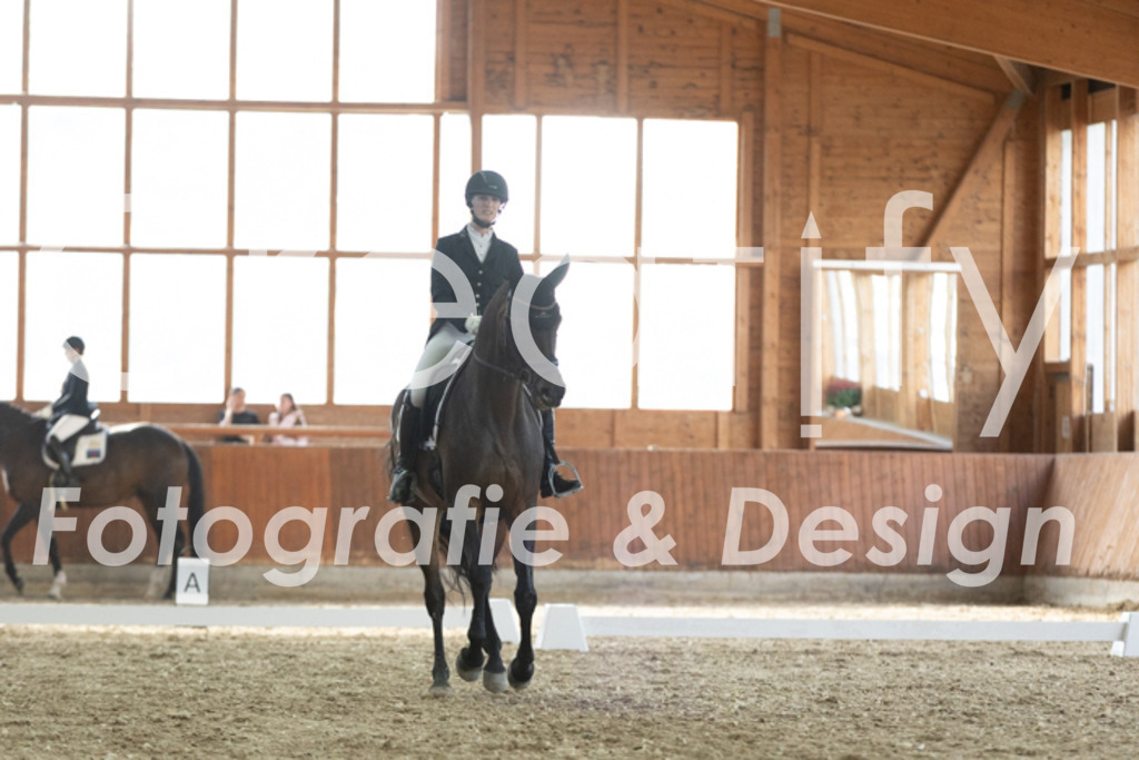 IMG_3401 | Creatify Fotografie