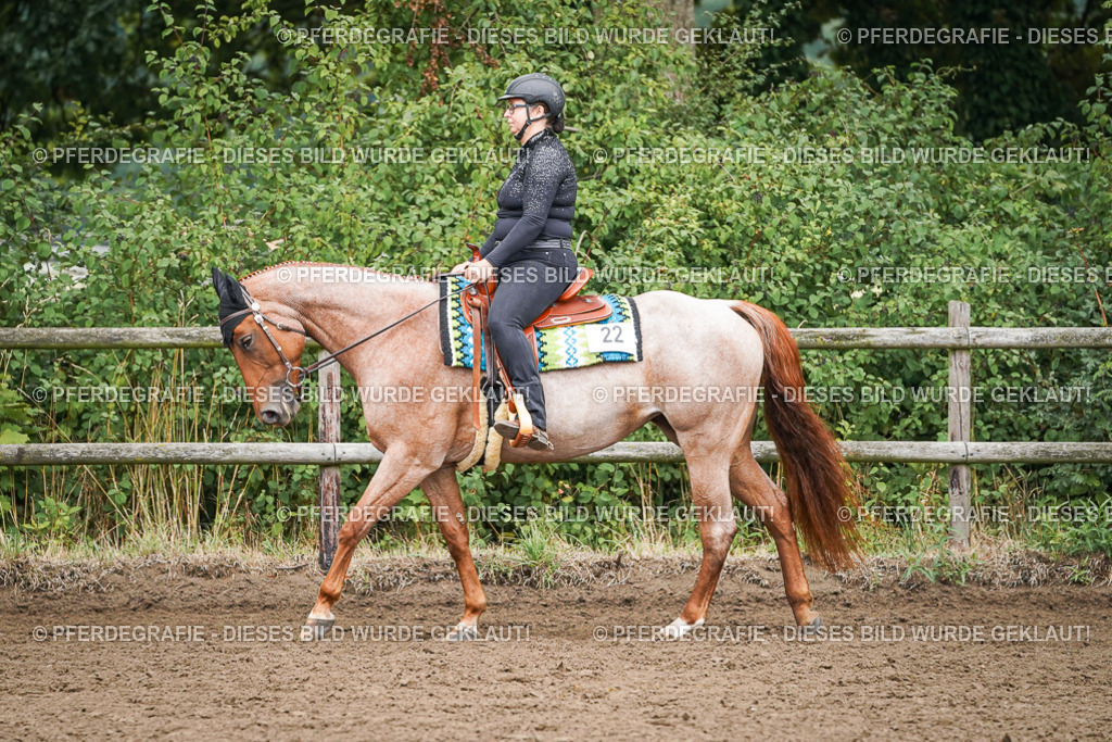 DSC01845 | Pferdegrafie