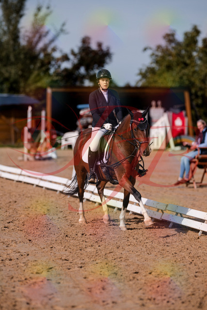 2026_10_03_Siefer-Hof_115806_Z81_00092150 | Professionelle Reitsport-, Turnier- und Eventfotografie von Robert Broda. Galerien mit ausgewählten und bearbeiteten Bildern direkt online ansehen und bestellen.