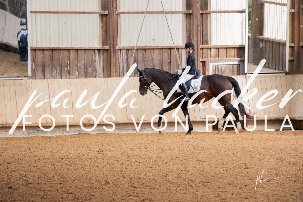 IMG_3510 | Erleben Sie dynamische Sport- und emotionale Tierfotografie in Süddeutschland mit Fotos von Paula. Spezialisiert auf Pferde- und Hundefotografie sowie Sportevents. Kontaktieren Sie mich für einzigartige und ausdrucksstarke Bilder Ihrer besonderen Momente. - Realisiert mit Pictrs.com