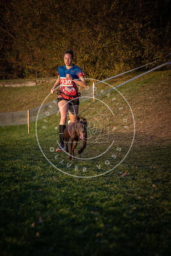 CaniXpix_0L8A1735 | Hundefotografie, Tierfotograf, Pfotenfotografie, Fotoshooting Hund, Hunde Portrait, Hundesport, Hundeportraits, Heideshooting, Hunde, Sportfotograf, Hundefotograf, Turnierhundsport, THS,  - Realisiert mit Pictrs.com