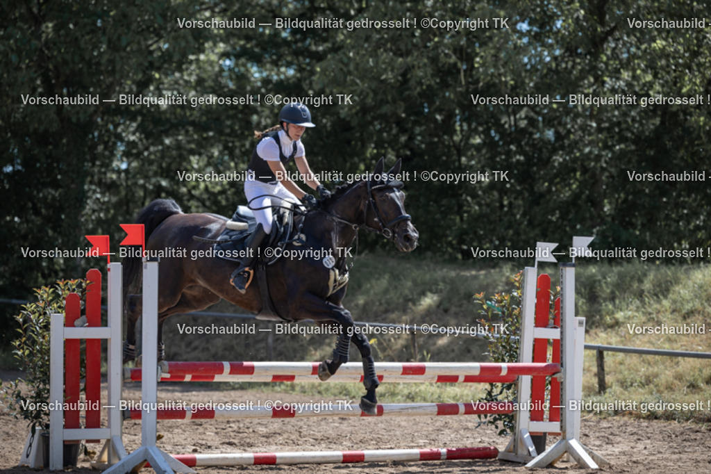 _D5A7390 | Emotionale Pferde- & People-Fotografie rund um Heidelberg, Leimen & Umgebung. Natürliche Fotos von Pferd, Mensch & Familie. Jetzt Termin sichern!