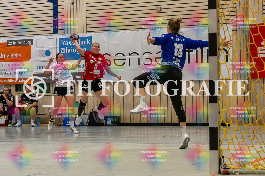 DEU, HSG Freiburg - TG Nuertingen, Handball, 2. Handball-Bundesliga, Saison 2023/2024, 04. Spieltag, Saison 2023/2024, 07.10.2023 | Hannah Person (HSG Freiburg, #03) beim Wurf auf das Tor von Christine Foth (TG Nuertingen, #13)

DEU, HSG Freiburg - TG Nuertingen, Handball, 2. Handball-Bundesliga, Saison 2023/2024, 04. Spieltag, Saison 2023/2024, 07.10.2023

Foto: Eibner-Pressefoto/Thomas Hess
