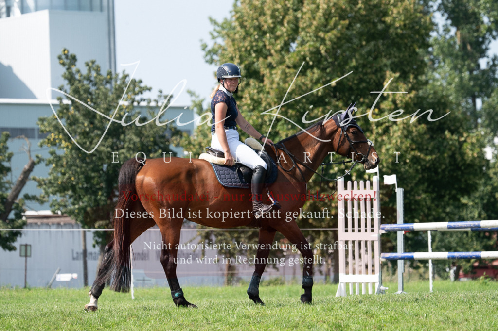 DSC_0754 | Pferde- und Turnierfotografie in Westsachsen. Pferdeportraits, Auftragszeichnungen und intuitive Kunst.