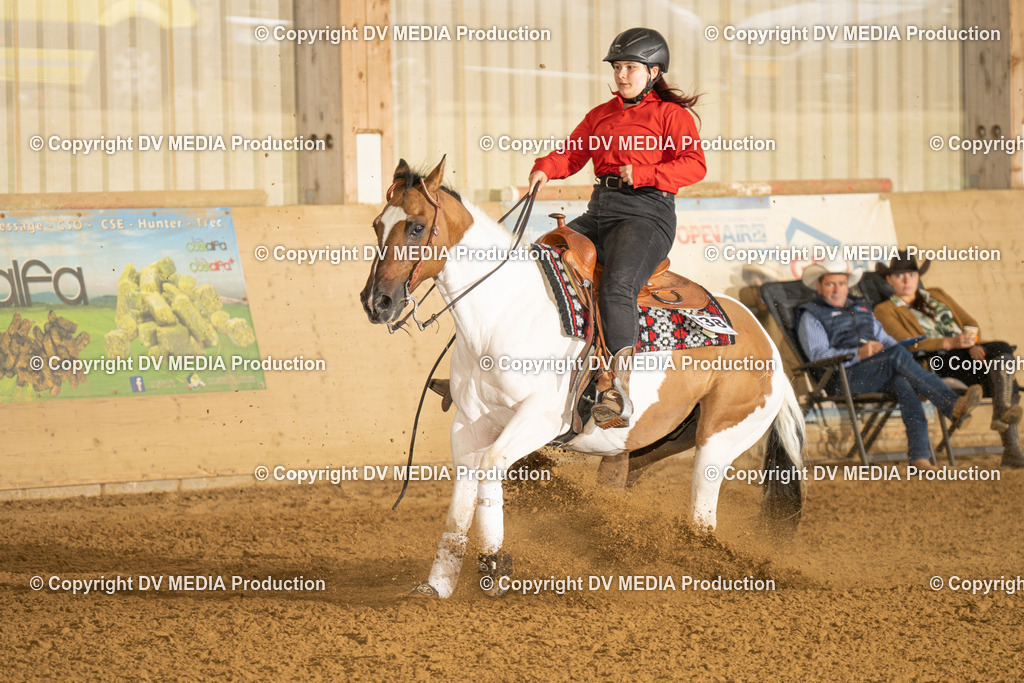 LAU00698 | dv-media-shop - Realisiert mit Pictrs.com