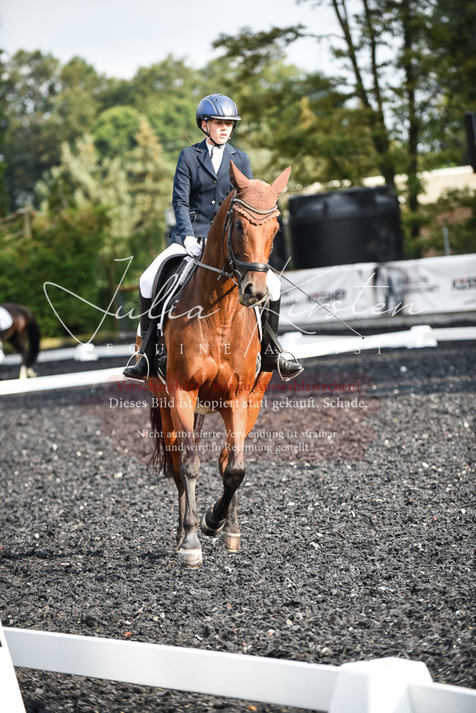 DSC_3375 | Pferde- und Turnierfotografie in Westsachsen. Pferdeportraits, Auftragszeichnungen und intuitive Kunst.