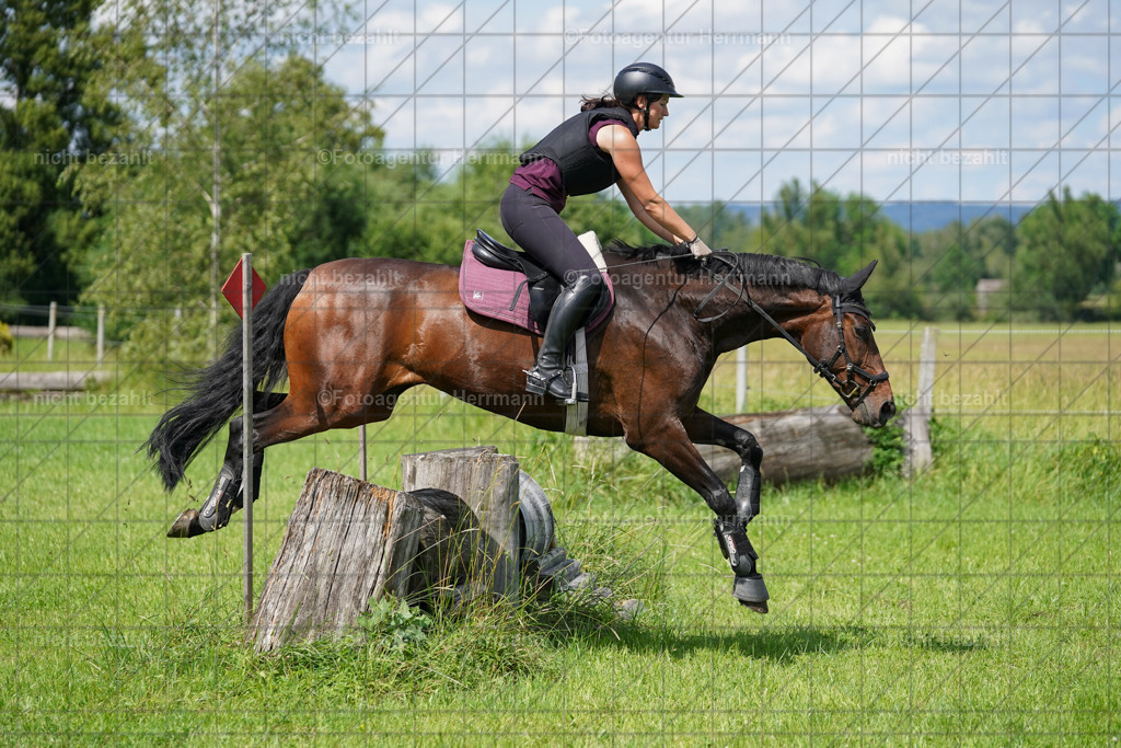 20240622-FAH07772 | Turnierfotografen Bayern, Reitsportbilder aus dem Geländekurs mit Felix Etzel auf dem Gut Waitzacker 2024