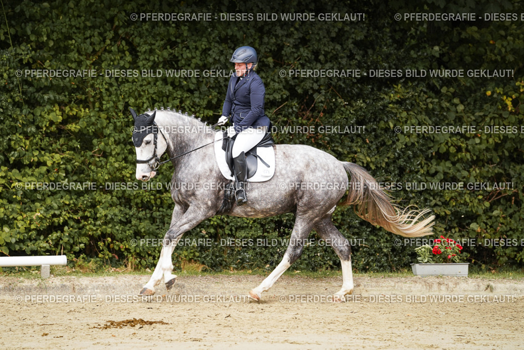 DSC01714 | Pferdegrafie