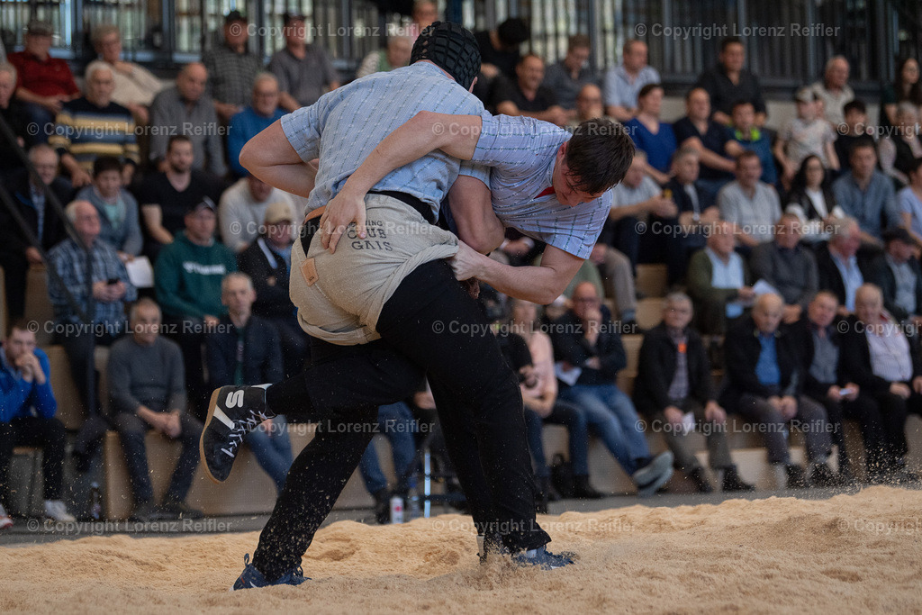 Schwingen -  Lichtmess 2024 | Gais, 3.2.24, Schwingen - Lichtmess.