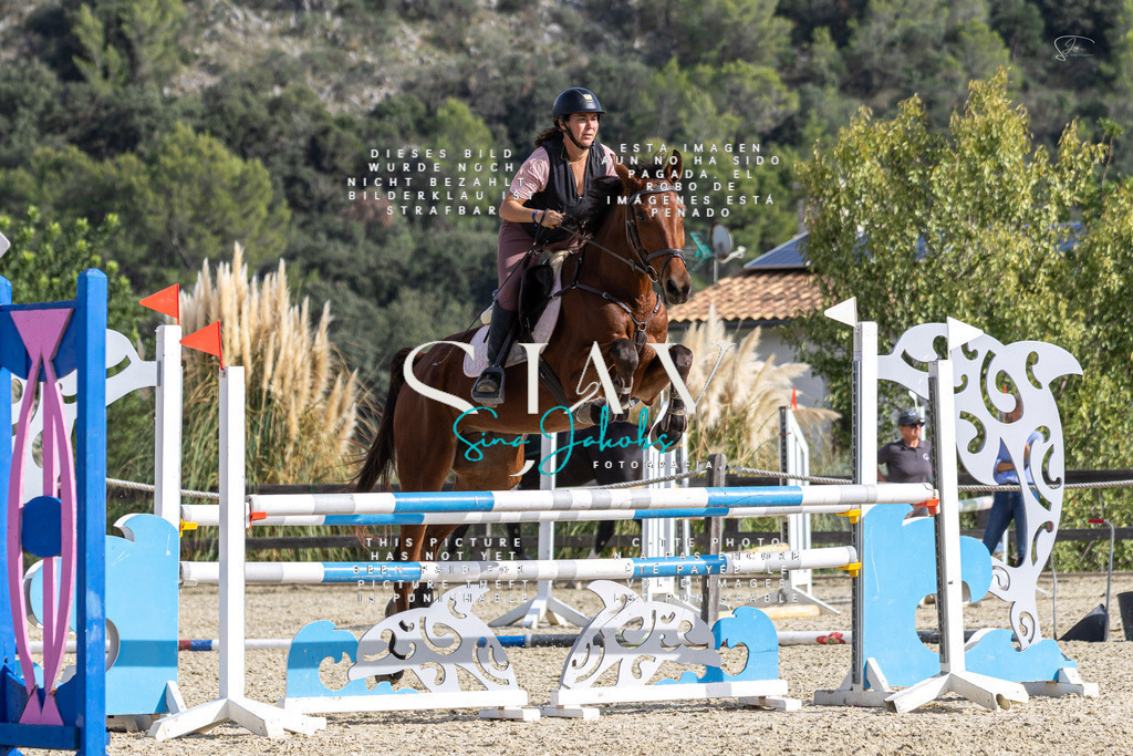 IMG_3557 | s-jay-photography - Realisiert mit Pictrs.com