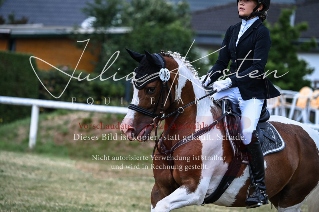 DSC_8555 | Pferde- und Turnierfotografie in Westsachsen. Pferdeportraits, Auftragszeichnungen und intuitive Kunst.