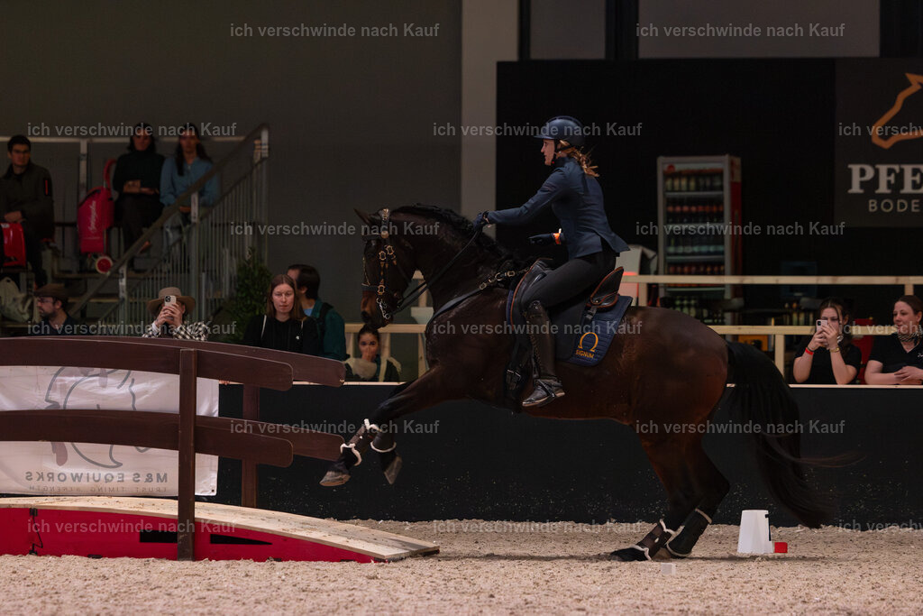 JoseraCup-159 | working equitationturnier fotograf videograf stoibphotography marixx film working equitation deutschland reitsport turnierfotografie eventfotografie equestrian events