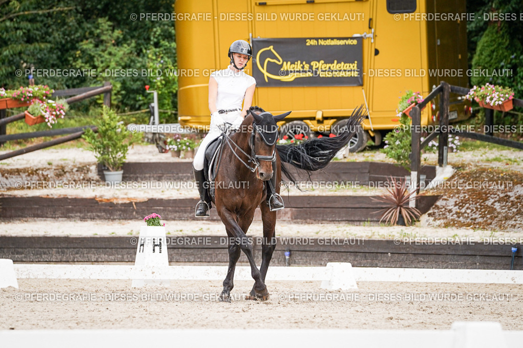 DSC06597 | Pferdegrafie