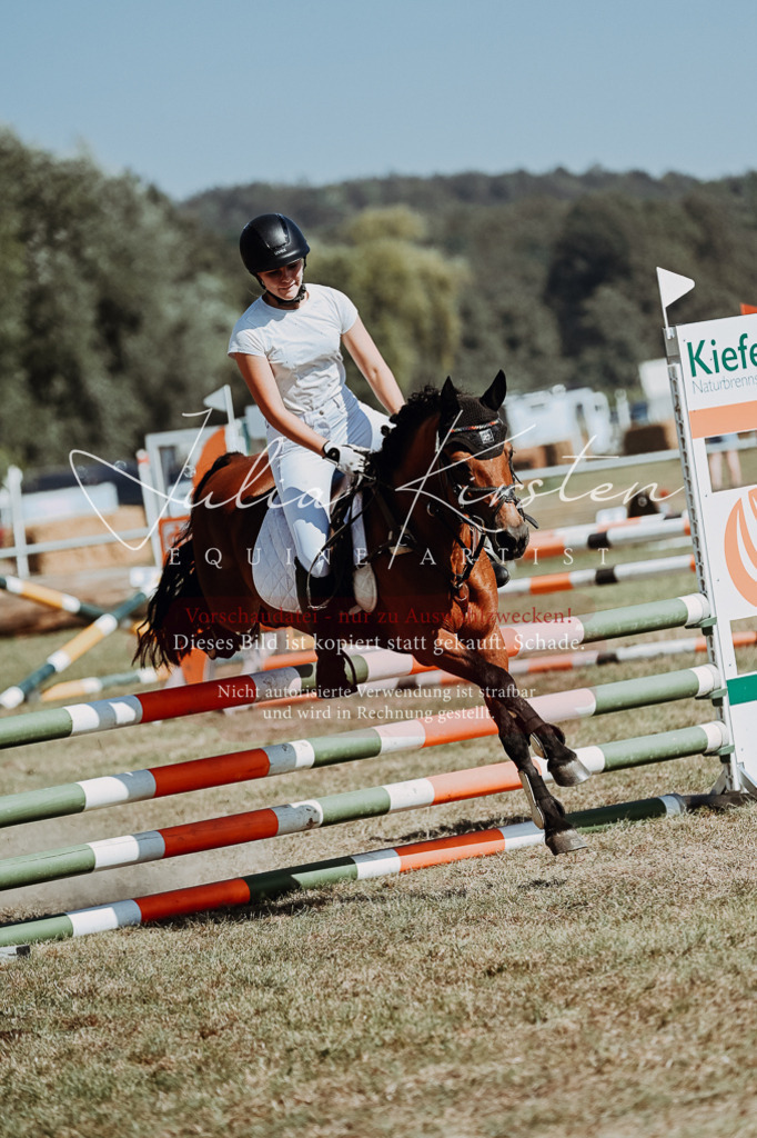 DSC_9951 | Pferde- und Turnierfotografie in Westsachsen. Pferdeportraits, Auftragszeichnungen und intuitive Kunst.