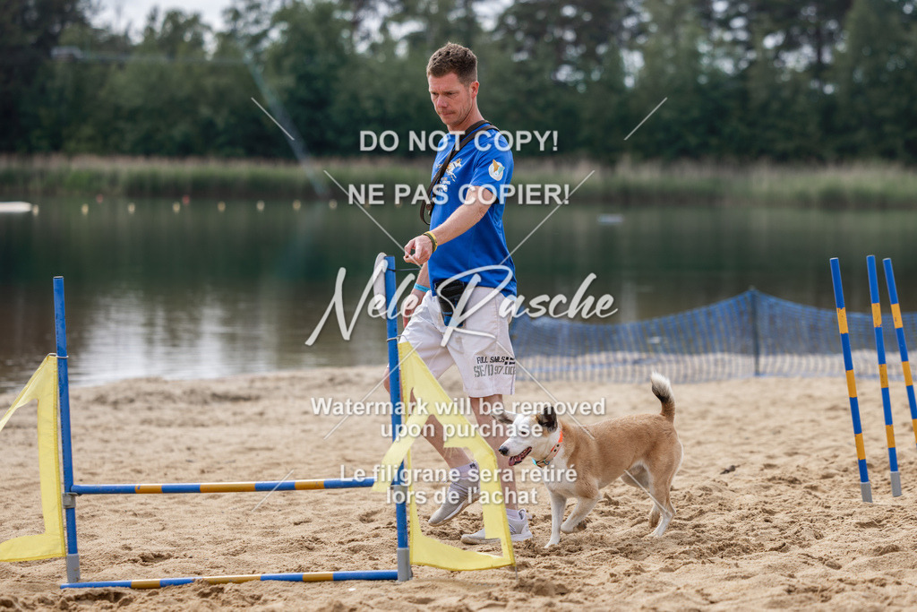 nelerasche_BuHu2026_So1530-Ende_57 | nelerasche