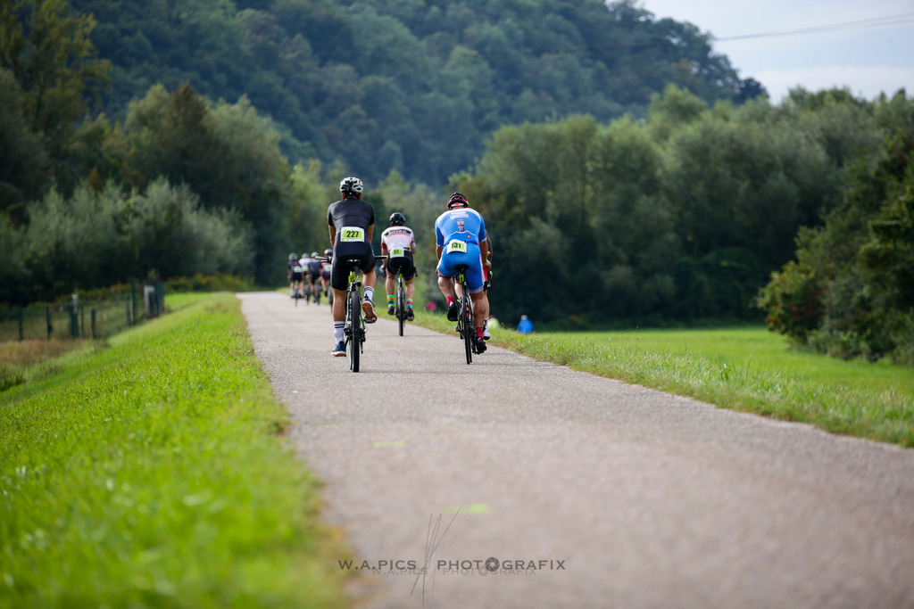 TRIRUN LINZ TRIATHLON 2025 | AUSTRIA, 14.09.2025, Linz, TRIRUN LINZ TRIATHLON 2025, Photo: WAPICS / Andreas Willdoner